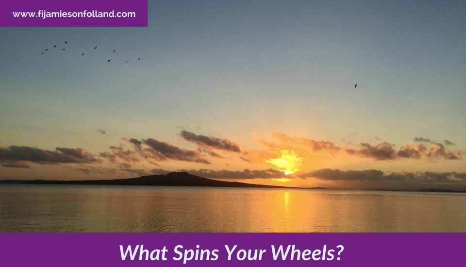 What Spins Your Wheels?