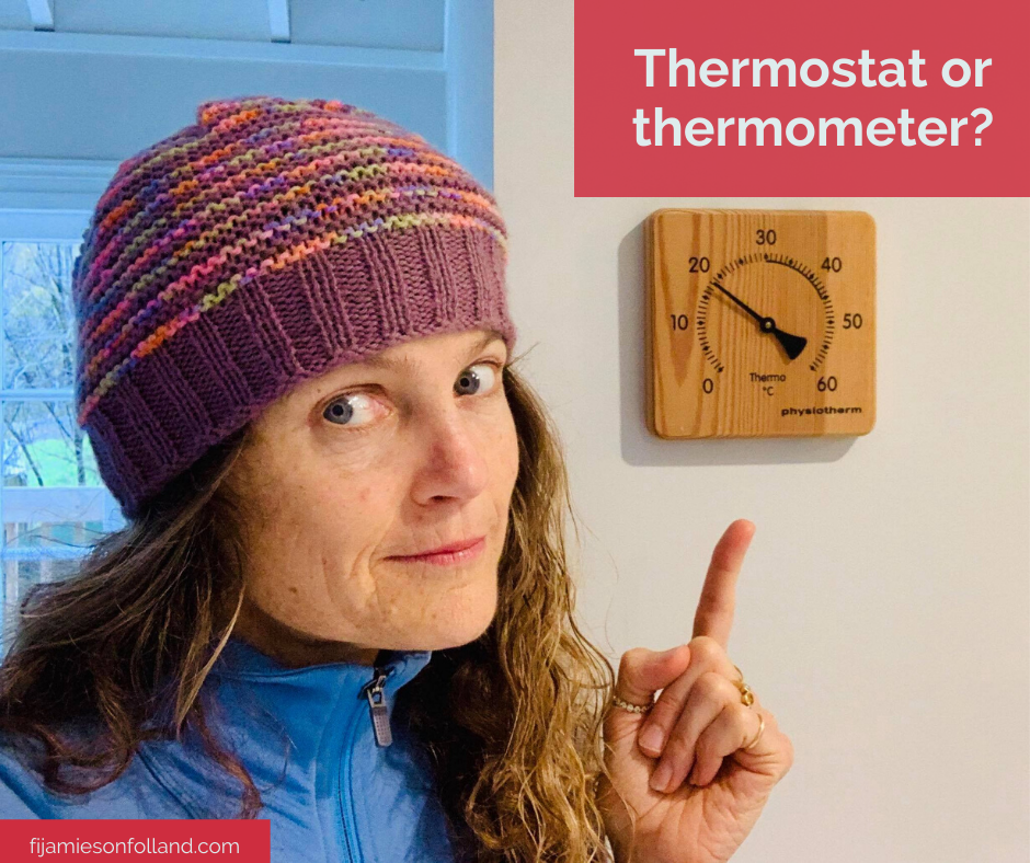 Thermostat or thermometer?