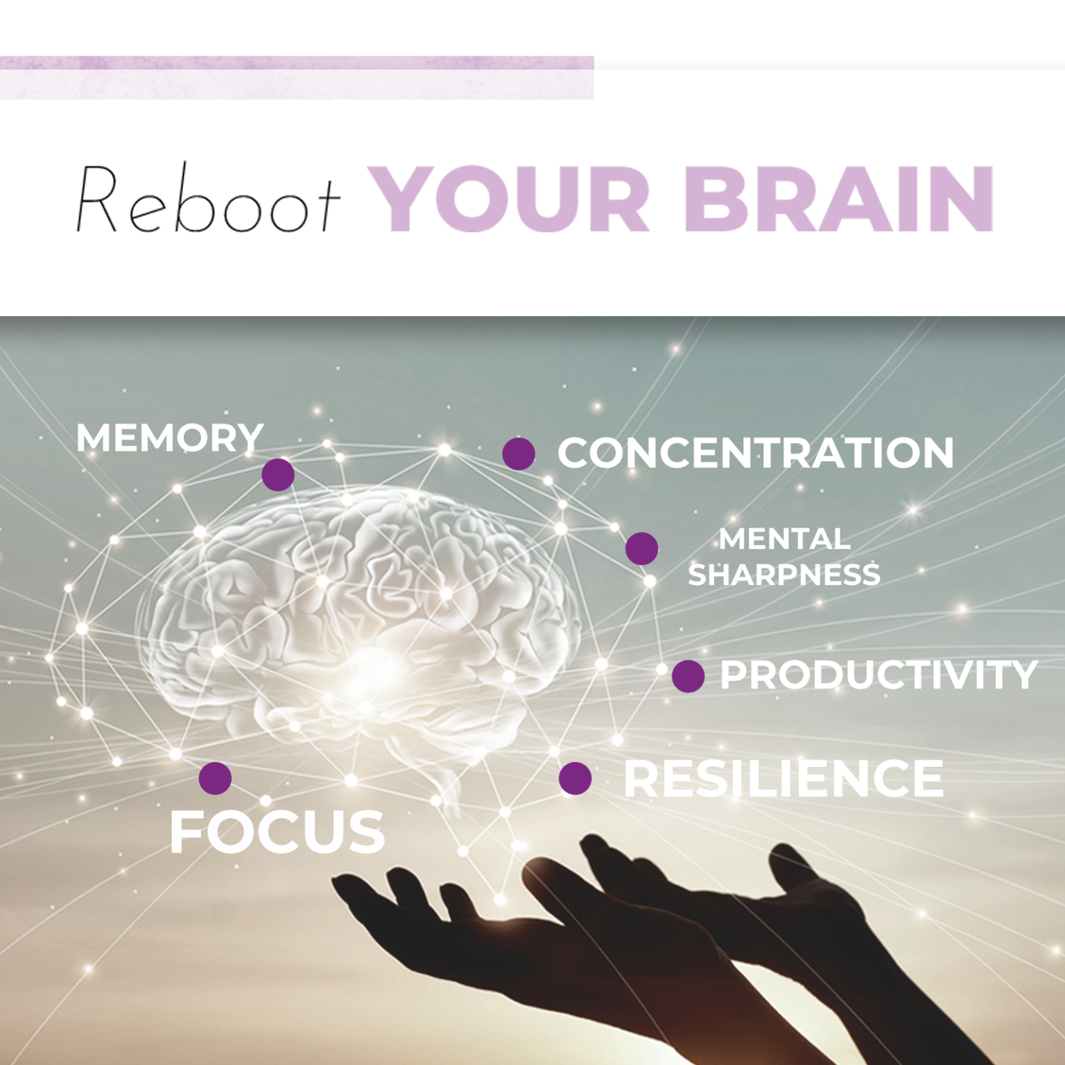 reboot-your-brain-fi-jamieson-folland