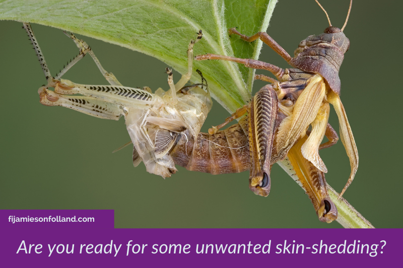 Are-you-ready-for-some-unwanted-skin-shedding