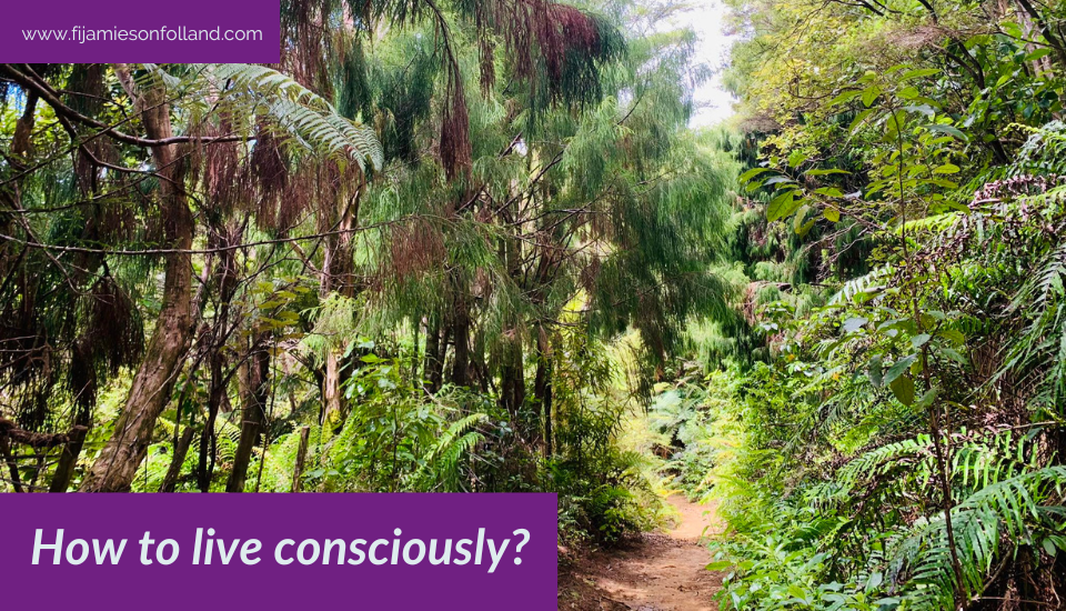 How to live consciously?