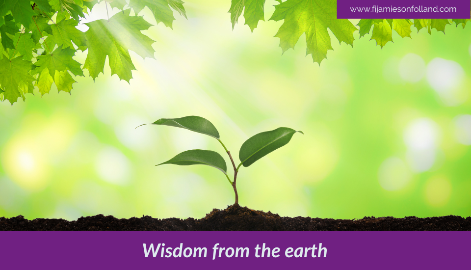 Wisdom from the earth