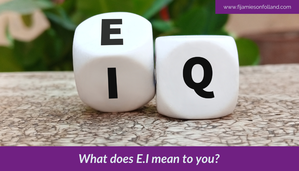 What does E.I mean to you?