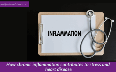 How chronic inflammation contributes to stress and heart disease