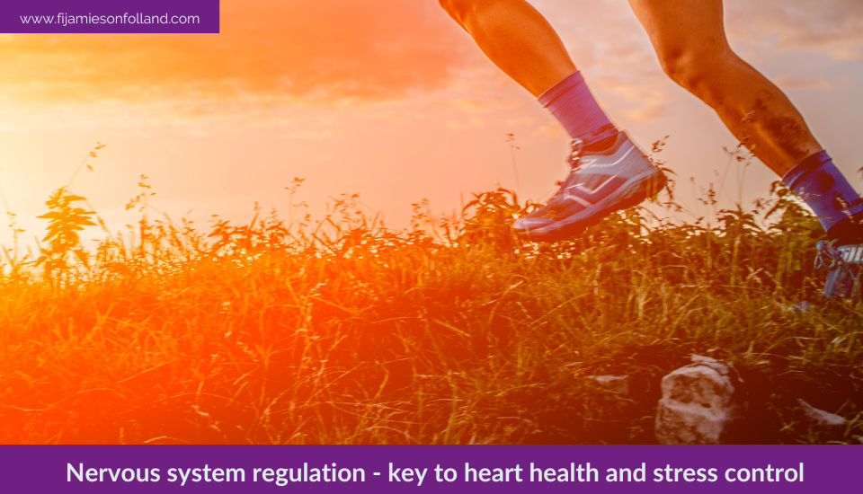 Nervous system regulation – key to heart health and stress control