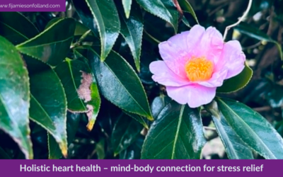 Holistic heart health – mind-body connection for stress relief