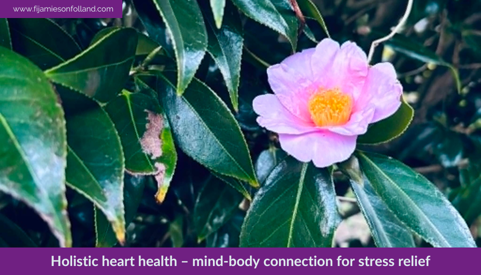 Holistic heart health – mind-body connection for stress relief