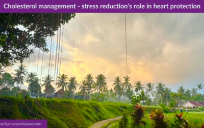 Cholesterol management – stress reduction’s role in heart protection
