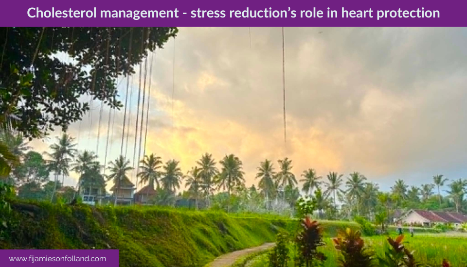 Cholesterol management – stress reduction’s role in heart protection